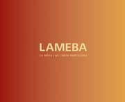 Cover von LAMEBA
