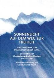 Cover von Sonnenlicht auf dem Weg zur Freiheit