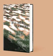Cover von Vom Rauschen und Rumoren der Welt