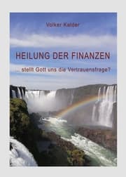 Cover von Heilung der Finanzen