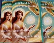 Cover von Engel und ihre Drachengefährten
