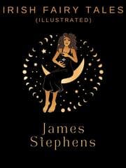 Cover von Irish Fairy Tales (Illustrated)