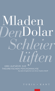 Cover von Den Schleier lüften