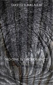 Cover von No One Is Sacrosanct