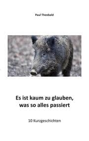 Cover von Es ist kaum zu glauben, was so alles passiert