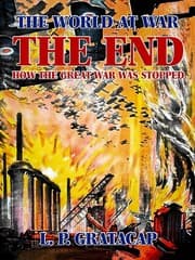 Cover von The End, How the Great War Was Stopped