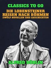 Cover von Die Lobensteiner Reisen nach Böhmen, Zwölf Novellen und Geschichten