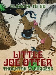 Cover von Little Joe Otter