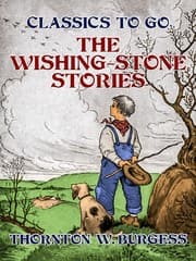 Cover von The Wishing-Stone Stories
