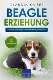 Cover von Beagle Erziehung