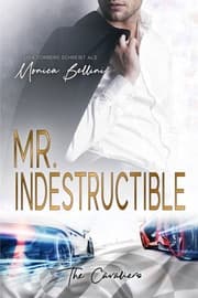 Cover von Mr. Indestructible