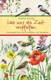 Cover von Lass uns die Zeit verpfeifen