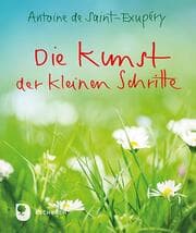 Cover von Die Kunst der kleinen Schritte