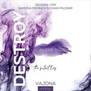 Cover von DESTROY the silent lies (DESTROY-Reihe 2)