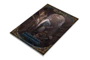 Cover von DSA5 - Aventurische Bibliothek