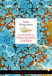 Cover von Der Sohn des verlorenen Sohnes