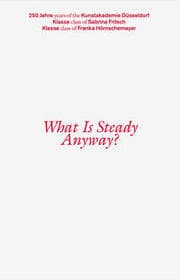 Cover von What Is Steady Anyway?
