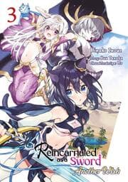 Cover von Reincarnated as a Sword: Another Wish 3