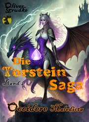 Cover von Die Torstein Saga Band 2