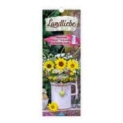 Cover von Landliebe 2027