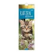 Cover von Katzen Notizkalender 2027