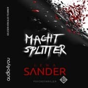 Cover von Machtsplitter