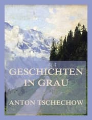 Cover von Geschichten in Grau