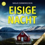 Cover von Eisige Nacht - Ein Norwegen-Krimi