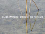 Cover von Schönheit des Vergehens