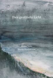 Cover von DIES GEATMETE LICHT / DES GSCHNUPFTI LIECHT