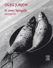 Cover von In zwei Spiegeln