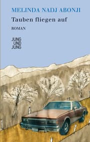 Cover von Tauben fliegen auf