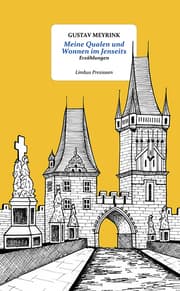 Cover von Meine Qualen und Wonnen im Jenseits