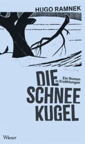 Cover von Die Schneekugel
