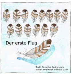 Cover von Der erste Flug