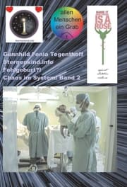 Cover von Fehlgeburt? Chaos im System! Band 2