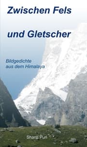 Cover von Zwischen Fels und Gletscher