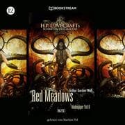 Cover von H. P. Lovecrafts Schriften des Grauens, Folge 12: Red Meadows