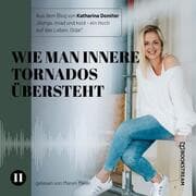 Cover von Wie man innere Tornados übersteht