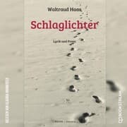Cover von Schlaglichter