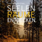Cover von Seelenräume entdecken