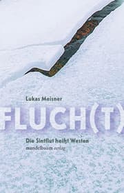 Cover von Fluch(t)
