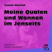 Cover von Meine Qualen und Wonnen im Jenseits