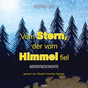 Cover von Vom Stern, der vom Himmel fiel - Hörbuch