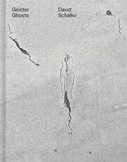 Cover von Geister Ghosts