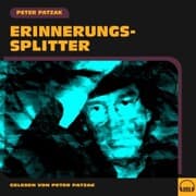Cover von Erinnerungssplitter