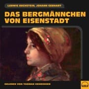 Cover von Das Bergmännchen von Eisenstadt