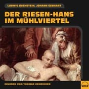 Cover von Der Riesen-Hans im Mühlviertel