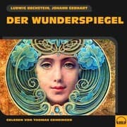 Cover von Der Wunderspiegel