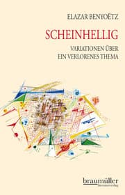 Cover von Scheinhellig